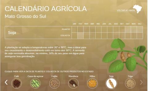 calendário agrícola
