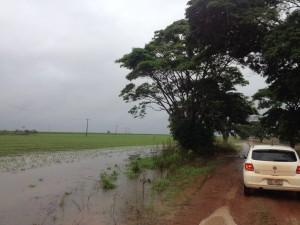 IMG_4111_AralMoreira